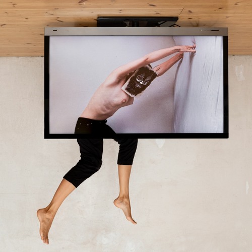 Perverts In White Shirts "Pangolin"