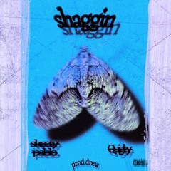 SHAGGIN - DISTRO S.Q.m4a
