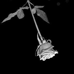 HIM - Under the Rose (P. Siltala Cover)