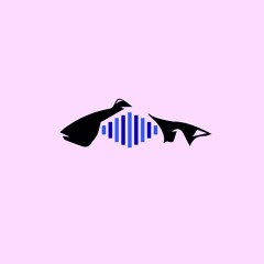 Isoasobi(磯遊び)