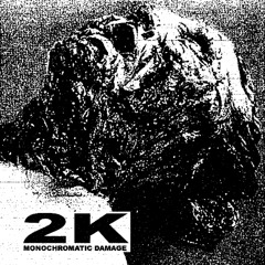 2K - MONOCHROMATIC DAMAGE - RIGHT TO OBLITERATE (FEAT SPIT PILE)