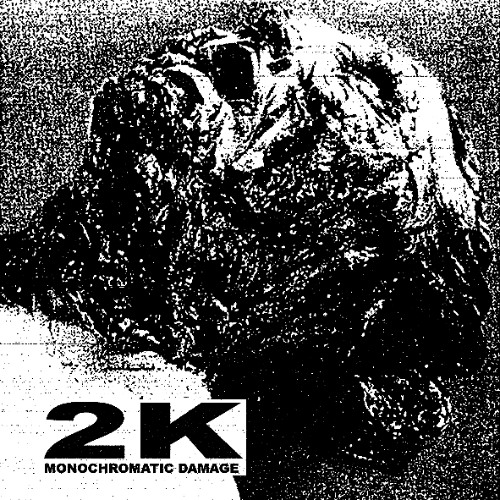 2K - MONOCHROMATIC DAMAGE - RIGHT TO OBLITERATE (FEAT SPIT PILE)