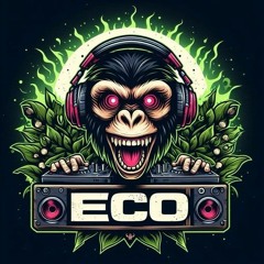 Eco 1st Set
