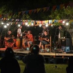 "Parece" Zaino Overo en Vivo