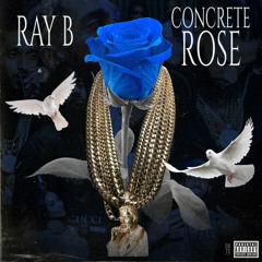 CONCRETE ROSE