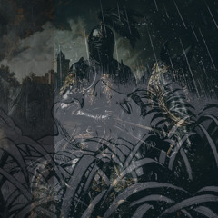 Tell Me What You See