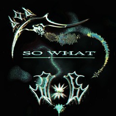 SO WHAT [TOBER 2024 #24]