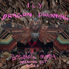 I.C.Y @ Dragon Dreaming 2025- Bogong Moth (originals set)