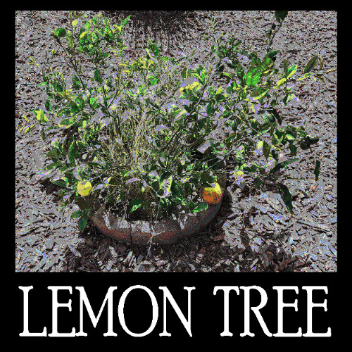 Lemon Tree (Demo)