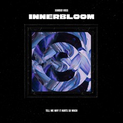 RÜFÜS DU SOL - Innerbloom (Xander Voss Schranz Edit)