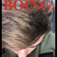 I BEAT MY SPRING
