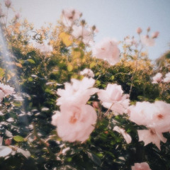 그림일기