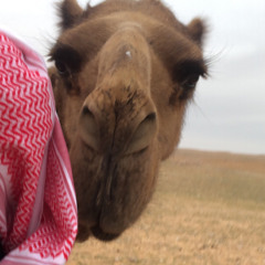 والله اني قبل أعرفك مستريح .