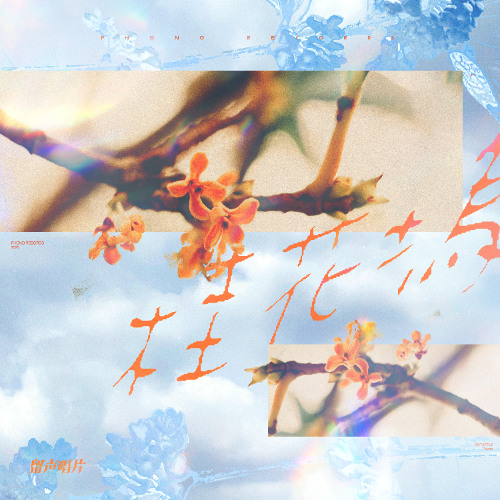 一杯猫头 - 桂 花 塢