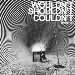 wouldn't shouldn't couldn't