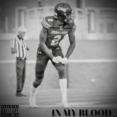 IN MY BLOOD