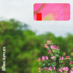 lvusm spring supplies (out now !!!!)