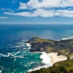 Best Cape Of Good Hope Penguins Small Group Tour From Town Tours Review