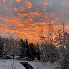 Sane2Smooth x TXM - anyday (DEMO)