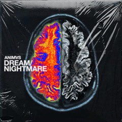 ANIMVS - Nightmare
