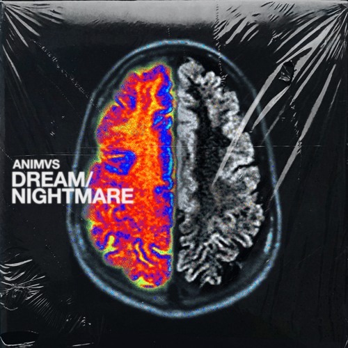 ANIMVS - Nightmare