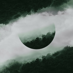 Through The Silence (feat. Eleonora)