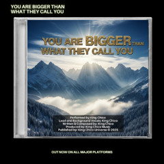 You are Bigger Than What They Call You