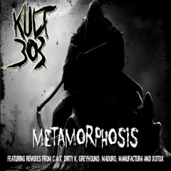 13. Metamorphosis (MNFCTR RMX)