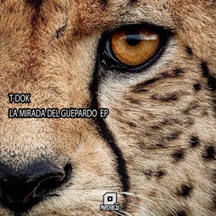 Monark Recordings Releases