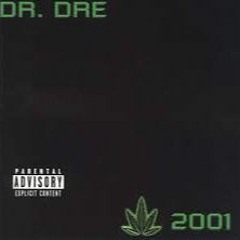 Dr Dre 2001 Full Album