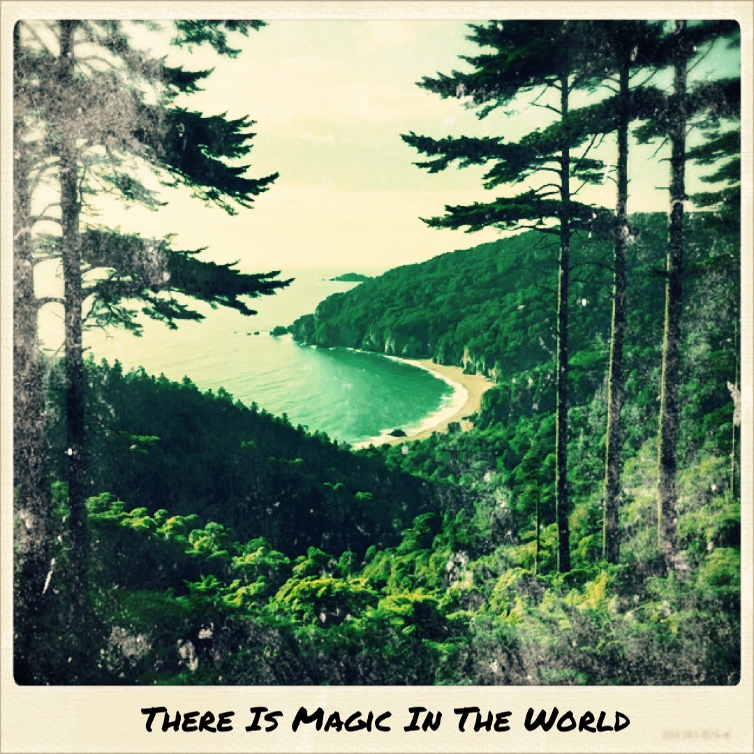 There Is Magic In The World episode artwork