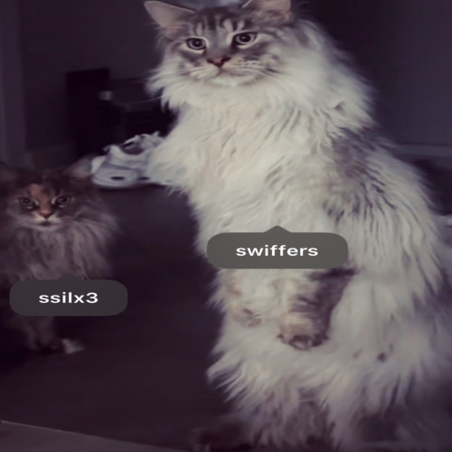 @swiffers666 & @timez3sil Snips