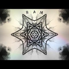 ☢ BaM ☢ - Born And Death [Wave_Quality]