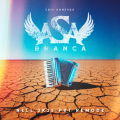 Luiz Gonzaga - Asa Branca (Nell 2k25 PVT ARRAIÁ REMODE)