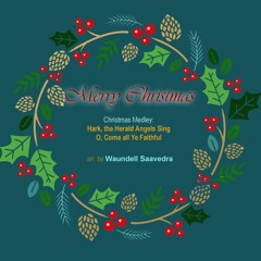 Christmas Medley - Hark the herald angels sing/ O Come all ye faithful