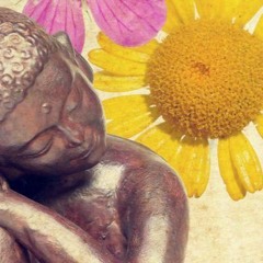 solo dale (prod. typhelicia)