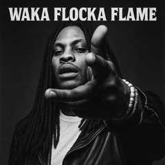 WAKA FLOCKA FLAME 🔥