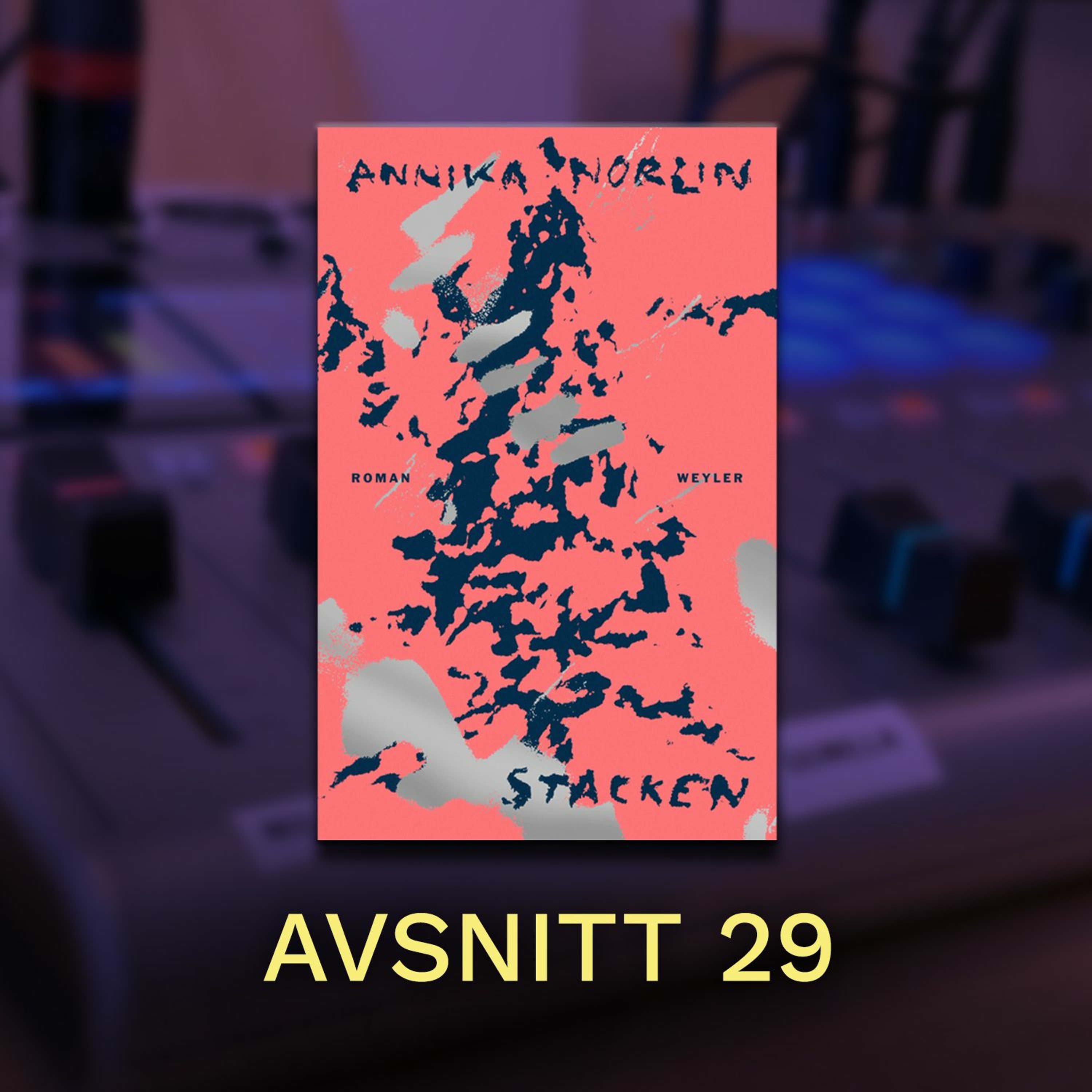 29 | Annika Norlins bok Stacken som bokcirkel episode artwork