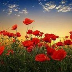 11th November 1918 11am.
