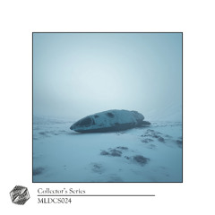 Introspection [mldcs024]