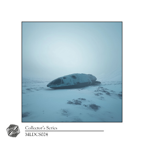Introspection [mldcs024]
