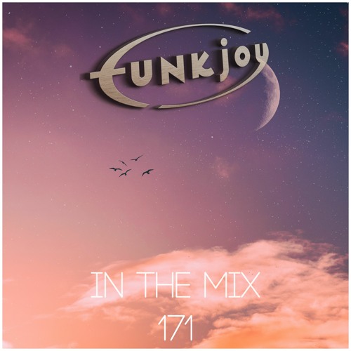 funkjoy - In The Mix 171