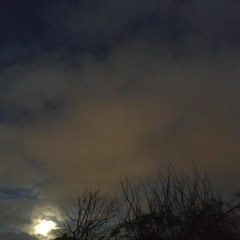through the darkness of my fall (original)