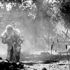 Posty_Vibe_DEMO_MAXIM