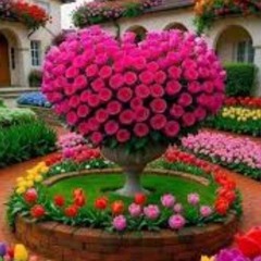 سوره قريش مكررة عدة مرات بصوت دكتور احمد عيسى.mp3