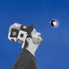 Quem Tem Asa Não Precisa de Estrada