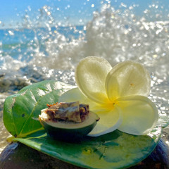Yapese - Taworngim #6