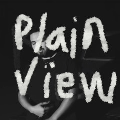 Plain View (prod.PKbeatz)