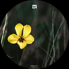 SYN Premiere: Ian Maur - IM 007 [59BEL004]