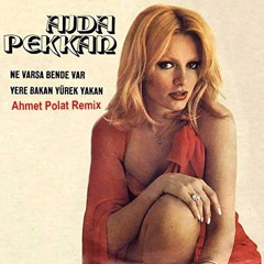 Ajda Pekkan - Ne Varsa Bende Var (Ahmet Polat Remix)